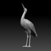 stork - Thumbnail 1