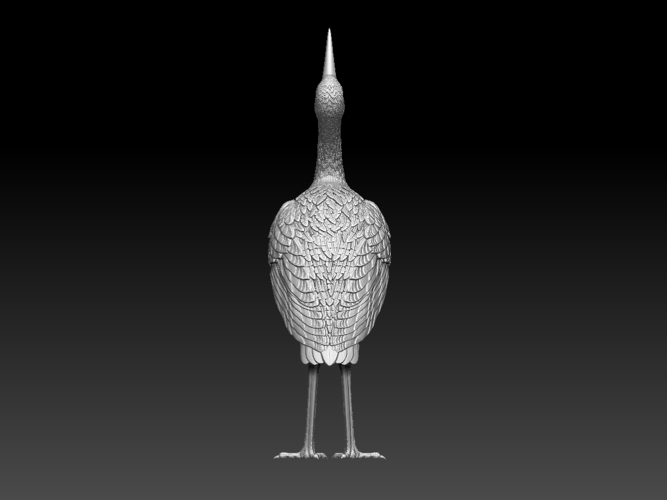 stork 3D Print 510034