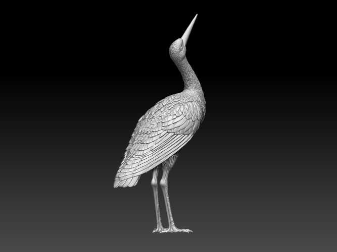 stork 3D Print 510035