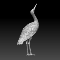 stork - Thumbnail 3