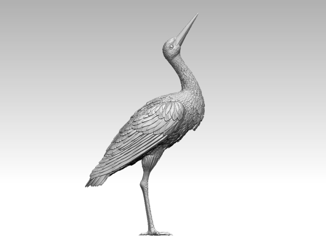 stork 3D Print 510036