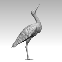 Small stork 3D Printing 510036