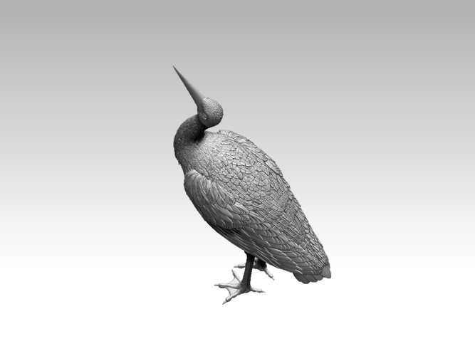 stork 3D Print 510037