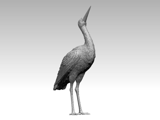 stork 3D Print 510039