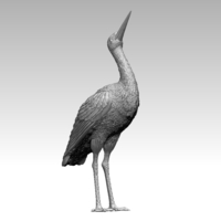 stork - Thumbnail 7