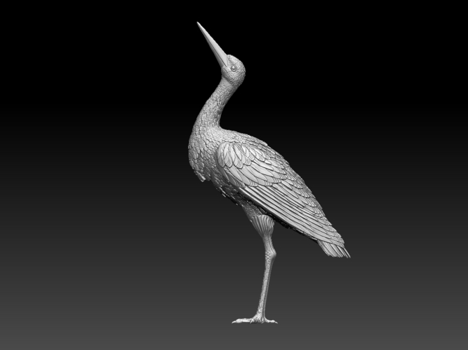 stork 3D Print 510040