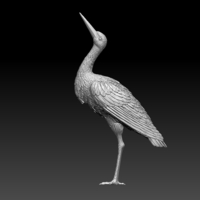 stork - Thumbnail 8