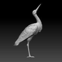 stork - Thumbnail 9