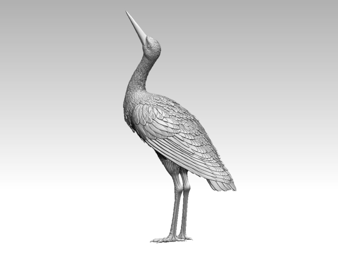 stork 3D Print 510042