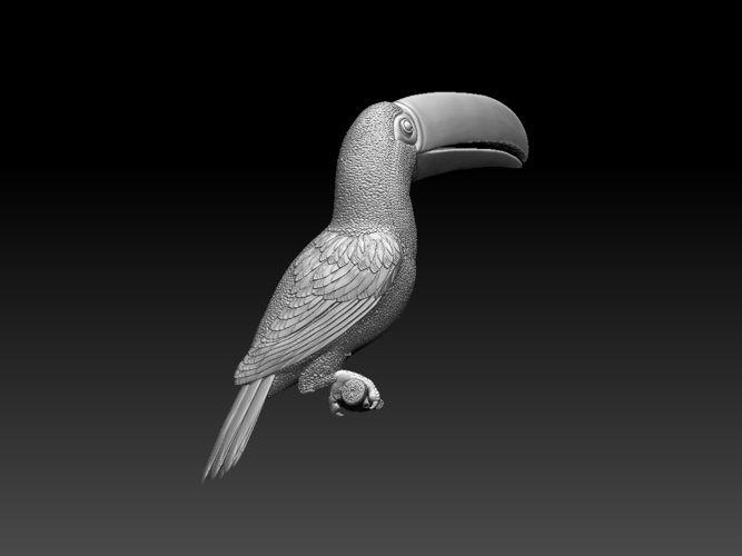 tucan 3D Print 510043