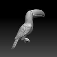 tucan - Thumbnail 1