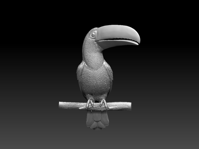 tucan 3D Print 510044