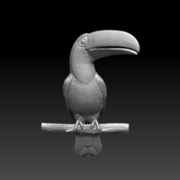 tucan - Thumbnail 2