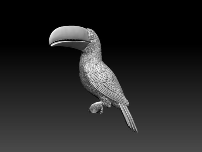 tucan 3D Print 510045