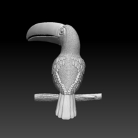 tucan - Thumbnail 4