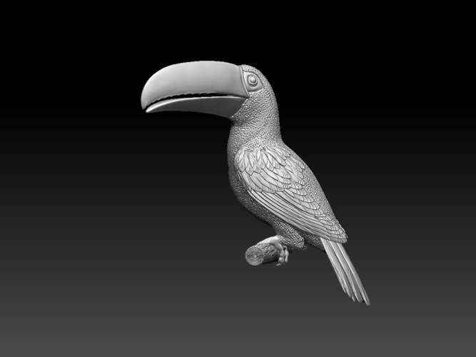 tucan 3D Print 510047