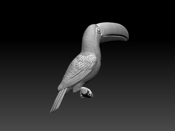 tucan 3D Print 510048