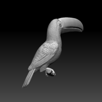 Small tucan 3D Printing 510048