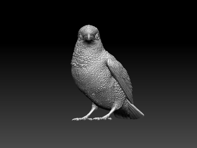 kingfisher  3D Print 510116