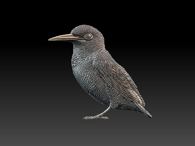 kingfisher  3D Print 510117