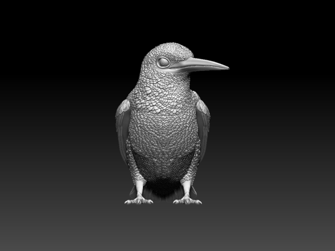 kingfisher  3D Print 510119