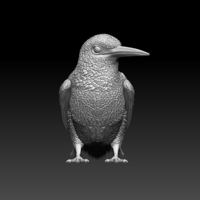 kingfisher  - Thumbnail 4
