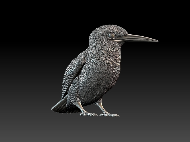 kingfisher  3D Print 510121