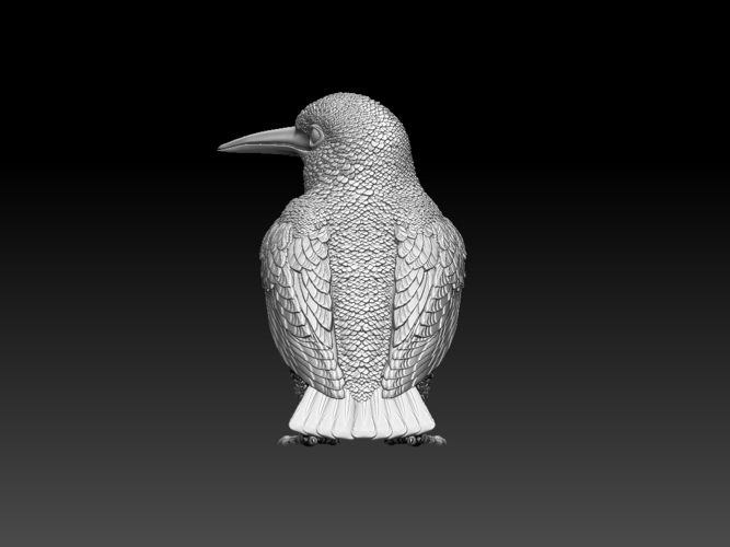 kingfisher  3D Print 510122