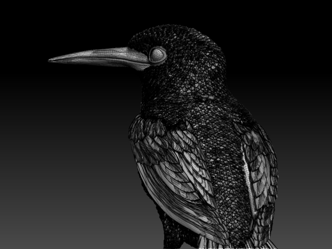 kingfisher  3D Print 510124