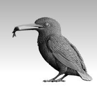 kingfisher  - Thumbnail 2