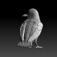 kingfisher  - Thumbnail 3