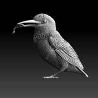 kingfisher  - Thumbnail 4