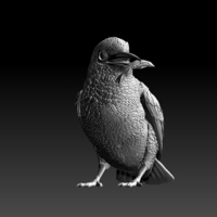 kingfisher  - Thumbnail 5