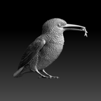 kingfisher  - Thumbnail 7
