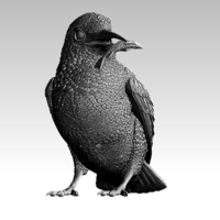 kingfisher  - Thumbnail 8