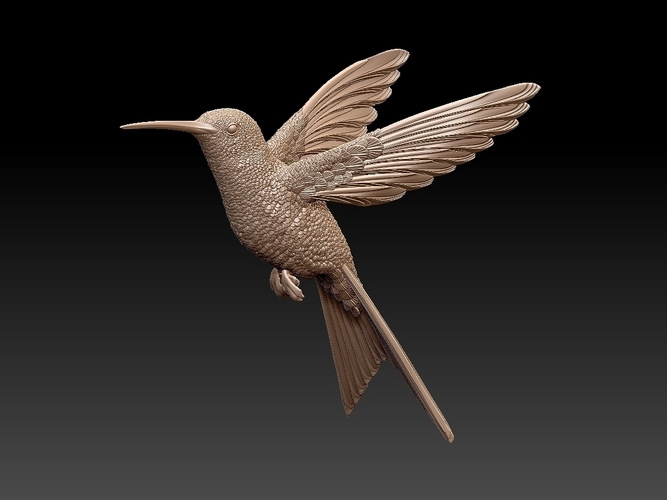 colibri humming bird 3D Print 510134