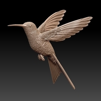 colibri humming bird - Thumbnail 1