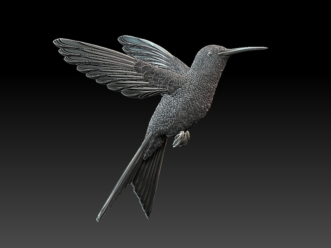 colibri humming bird 3D Print 510135