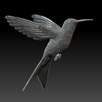 colibri humming bird - Thumbnail 2