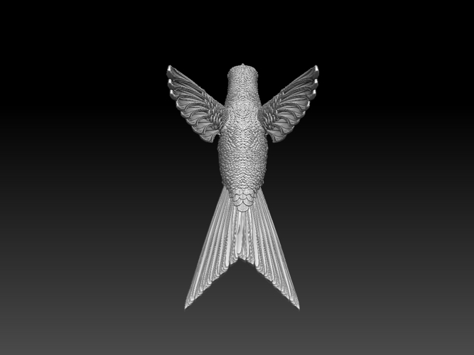 colibri humming bird 3D Print 510136