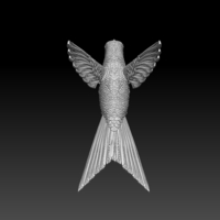 colibri humming bird - Thumbnail 3