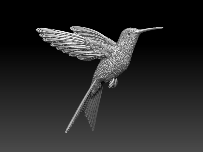 colibri humming bird 3D Print 510137