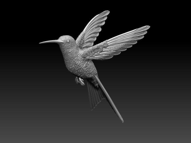 colibri humming bird 3D Print 510138