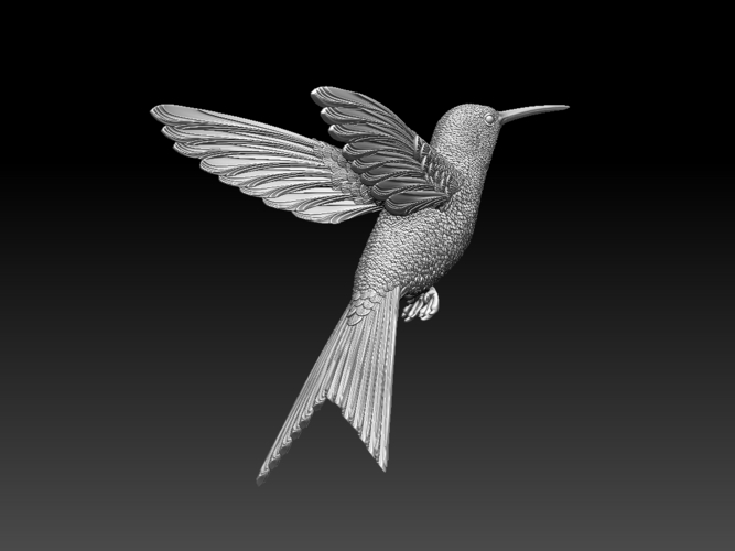 colibri humming bird 3D Print 510139