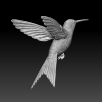colibri humming bird - Thumbnail 6