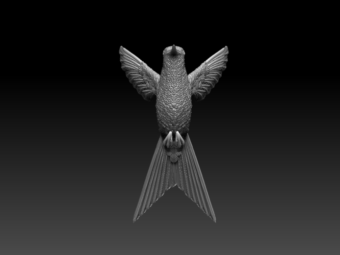 colibri humming bird 3D Print 510140