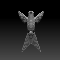 colibri humming bird - Thumbnail 7