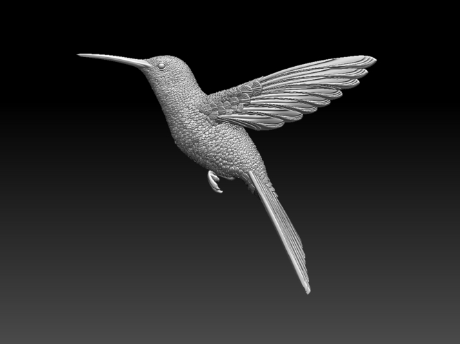 colibri humming bird 3D Print 510141