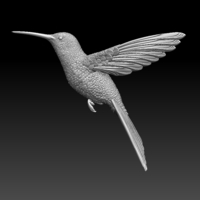 Small colibri humming bird 3D Printing 510141