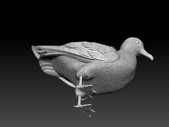 seagull 3D Print 510144